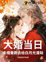 大婚当日，未婚妻跑去给白月光渡劫