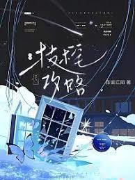 技术宅攻略