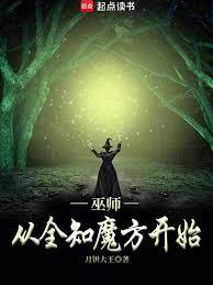 巫师：从全知魔方开始