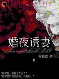 婚夜诱妻