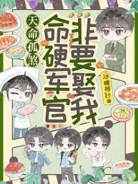 天命孤煞，命硬军官非要娶我
