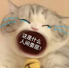 从射鵰开始：我一天涨一年功力