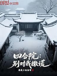 四合院：别对我撒谎