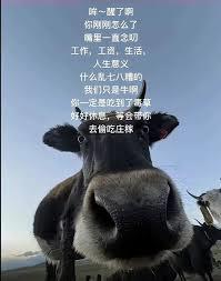 开仙群改人生