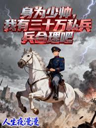 身为少帅，我有三十万私兵合理吧
