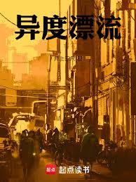 异度漂流