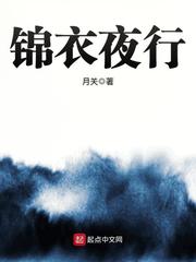 锦衣夜行小说